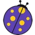 N11