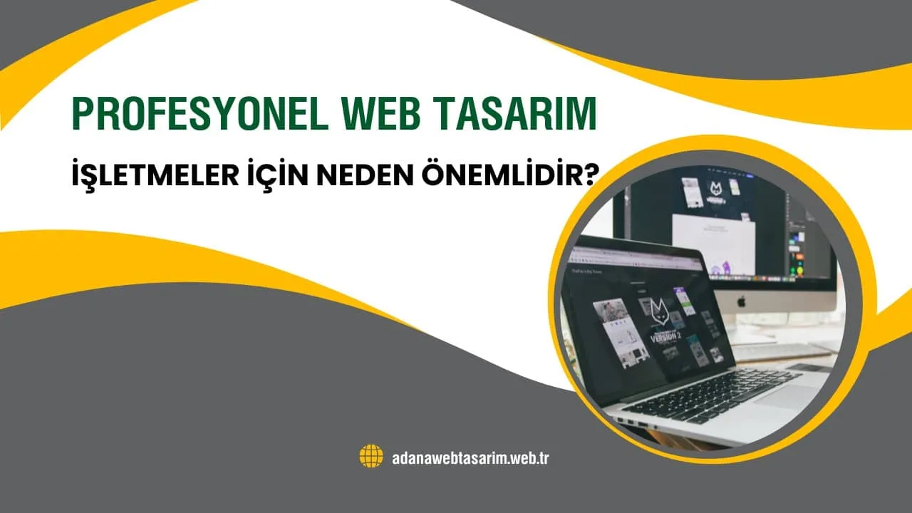 Profesyonel Web Tasarım İşletmeler İçin Neden Önemlidir?