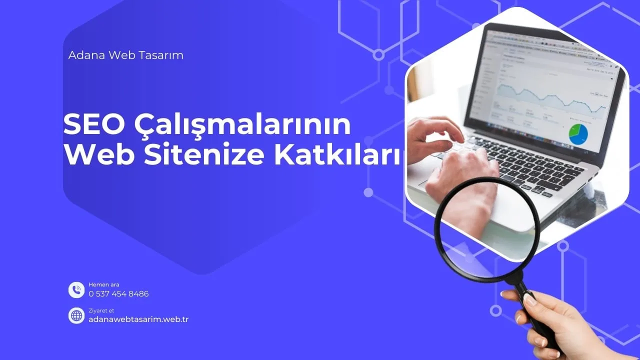 seonun web sitesine katkilari