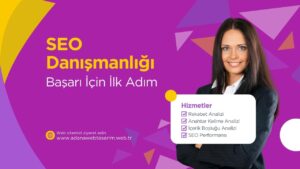 SEO Danışmanlığı