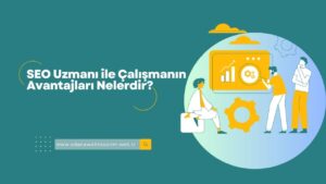 SEO Uzmanı